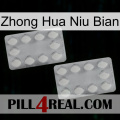 Zhong Hua Niu Bian 17